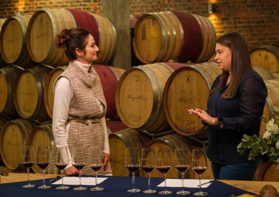 Wine-Tasting-Master-Class